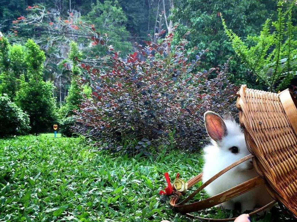V Valley Resort Satun Dış mekan fotoğraf
