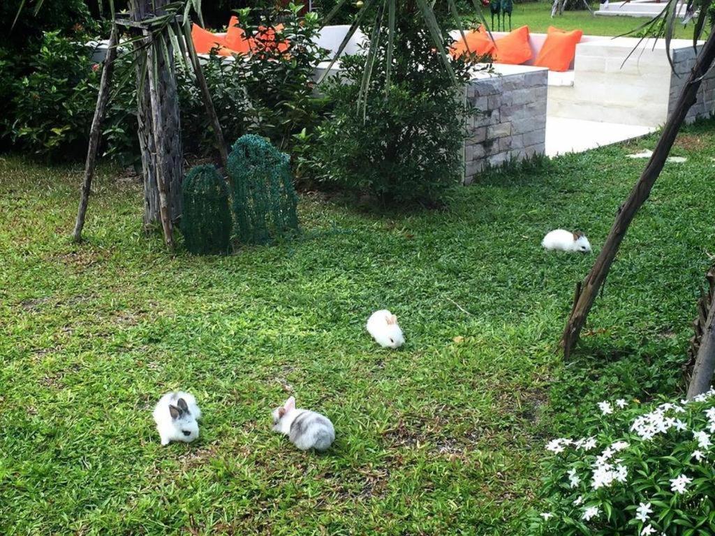 V Valley Resort Satun Dış mekan fotoğraf