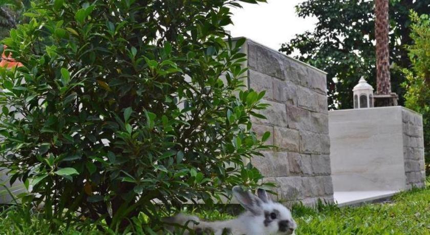 V Valley Resort Satun Dış mekan fotoğraf