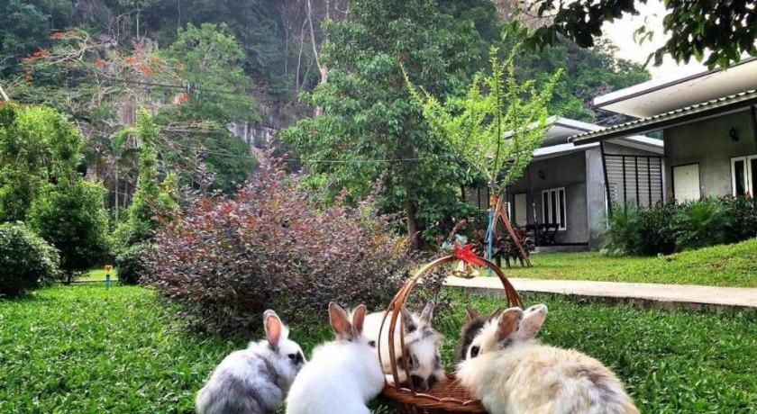 V Valley Resort Satun Dış mekan fotoğraf